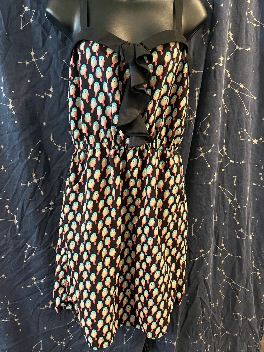 Vanity Black Bird Dress with Multicolor Parrot Print